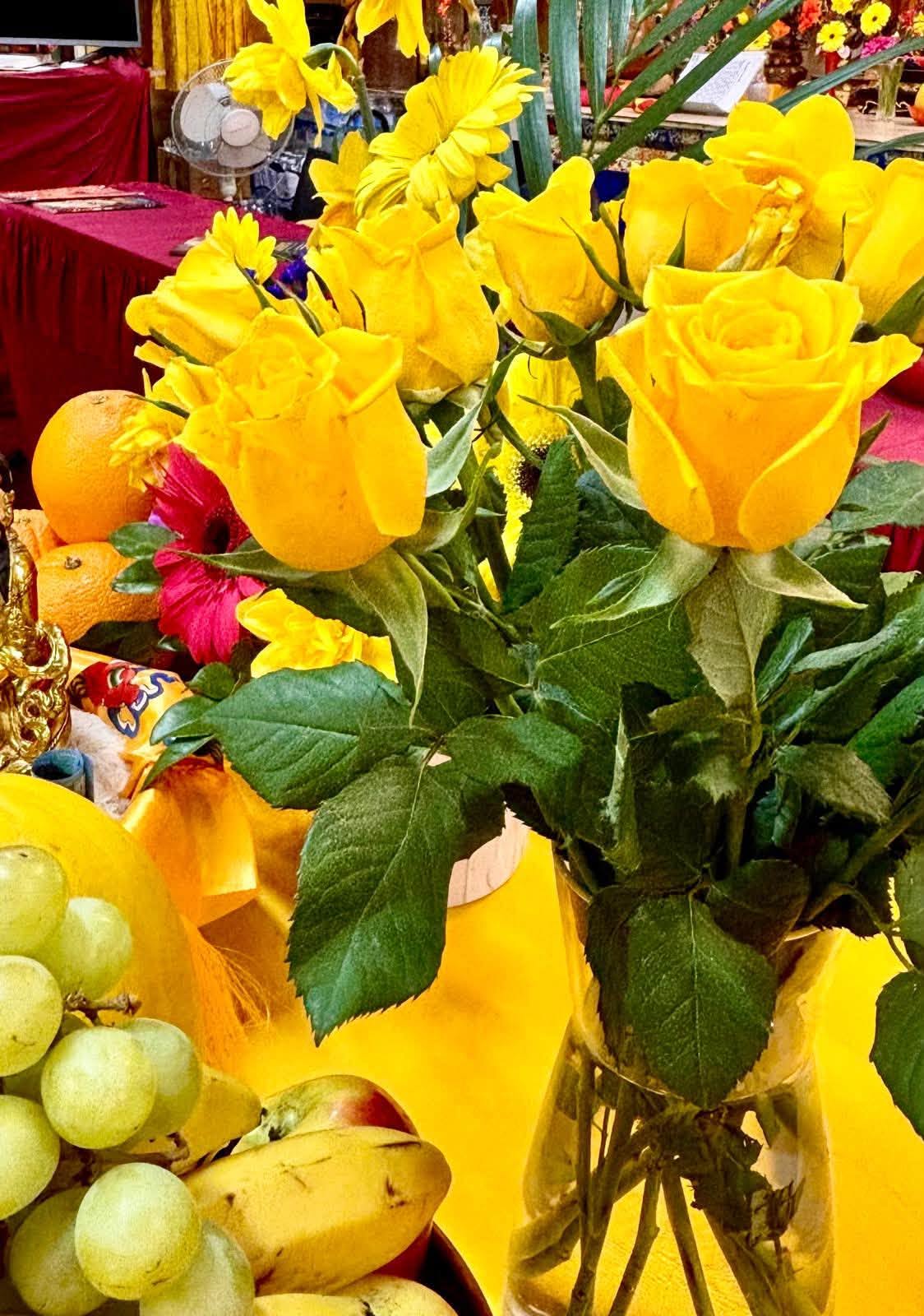 2026 Yellow Jambhala Birthday